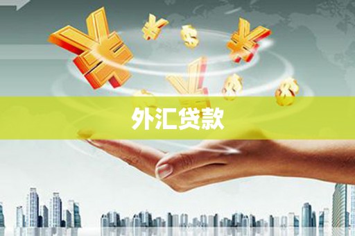 营口外汇贷款