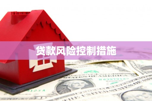 营口贷款风险控制措施