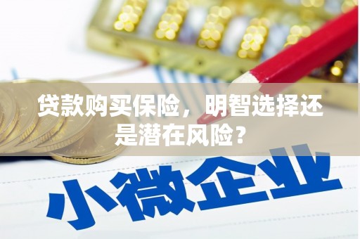 营口贷款购买保险，明智选择还是潜在风险？