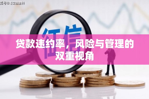 营口贷款违约率，风险与管理的双重视角