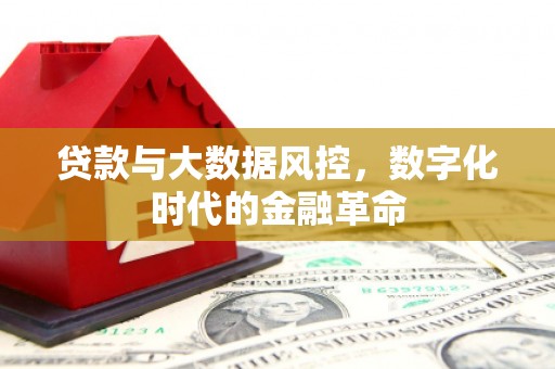 营口贷款与大数据风控，数字化时代的金融革命