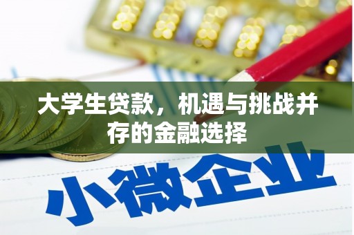 营口大学生贷款，机遇与挑战并存的金融选择