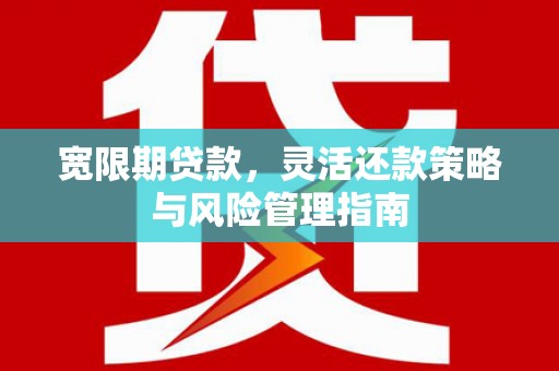 营口宽限期贷款，灵活还款策略与风险管理指南