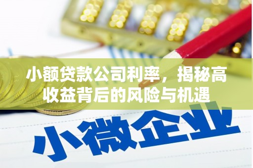 营口小额贷款公司利率，揭秘高收益背后的风险与机遇