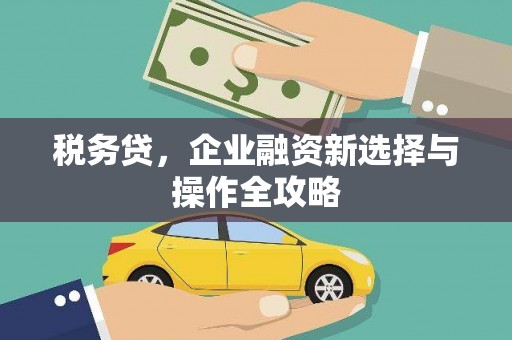 营口税务贷，企业融资新选择与操作全攻略