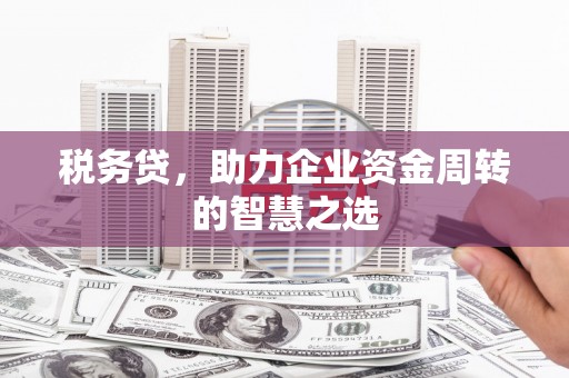 营口税务贷，助力企业资金周转的智慧之选