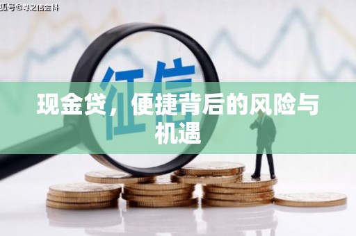 营口现金贷，便捷背后的风险与机遇