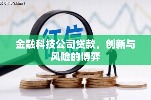 营口金融科技公司贷款，创新与风险的博弈