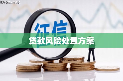 营口贷款风险处置方案