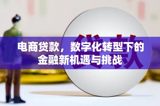 营口电商贷款，数字化转型下的金融新机遇与挑战