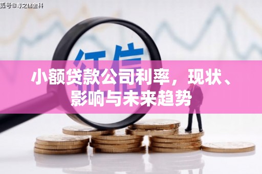 营口小额贷款公司利率，现状、影响与未来趋势
