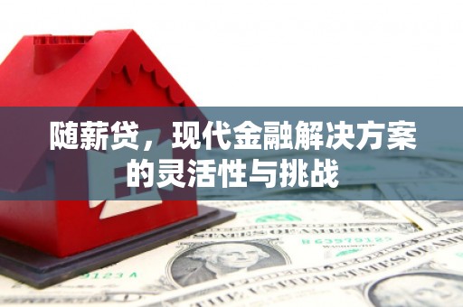 营口随薪贷，现代金融解决方案的灵活性与挑战