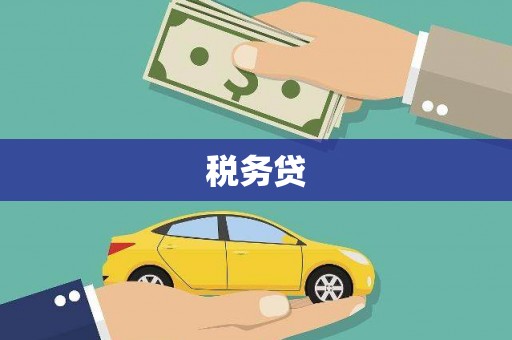 营口税务贷