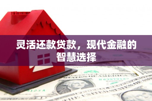 营口灵活还款贷款，现代金融的智慧选择
