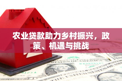 营口农业贷款助力乡村振兴，政策、机遇与挑战