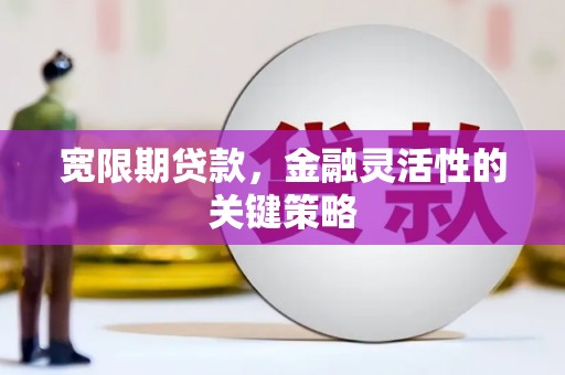 营口宽限期贷款，金融灵活性的关键策略