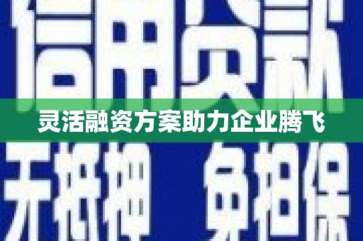 营口灵活融资方案助力企业腾飞