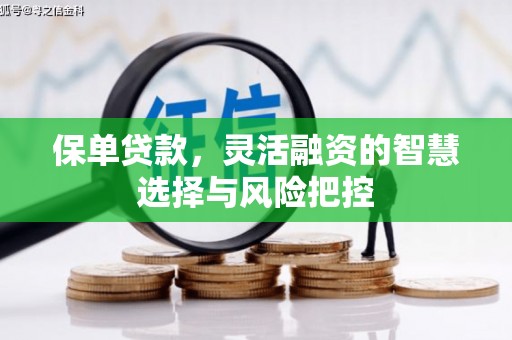 营口保单贷款，灵活融资的智慧选择与风险把控