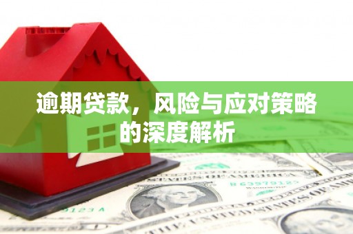 营口逾期贷款，风险与应对策略的深度解析