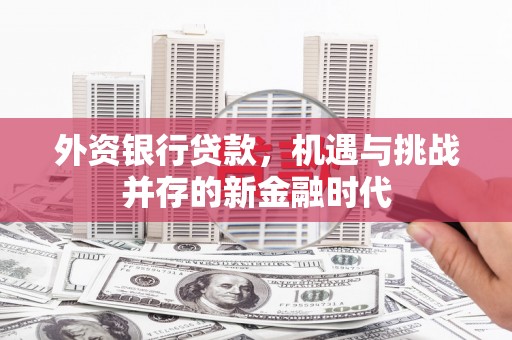 营口外资银行贷款，机遇与挑战并存的新金融时代