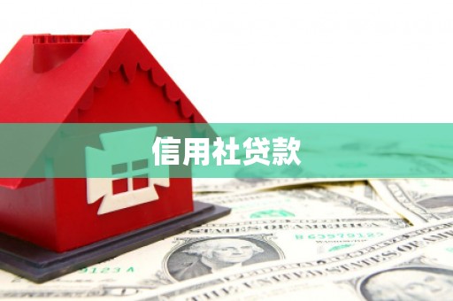 营口信用社贷款