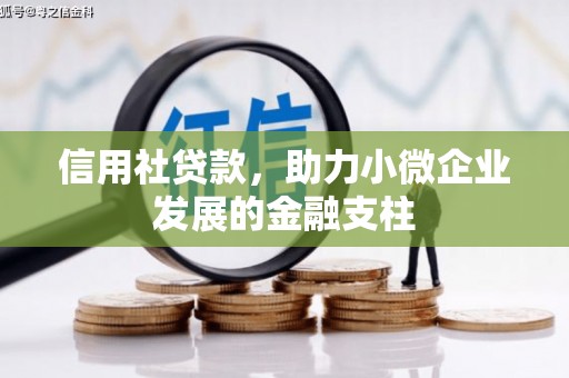 营口信用社贷款，助力小微企业发展的金融支柱