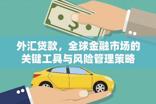 营口外汇贷款，全球金融市场的关键工具与风险管理策略