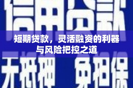 营口短期贷款，灵活融资的利器与风险把控之道
