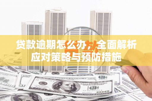 营口贷款逾期怎么办，全面解析应对策略与预防措施