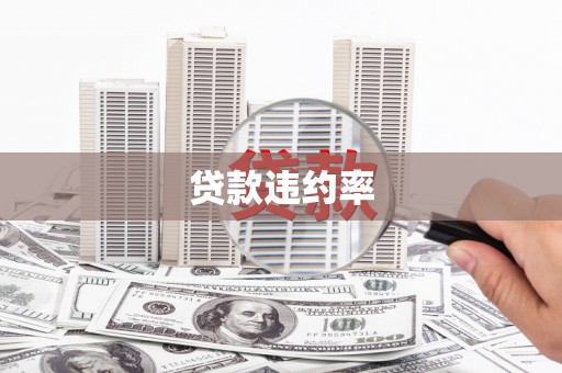 营口贷款违约率