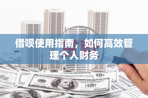 营口借呗使用指南，如何高效管理个人财务