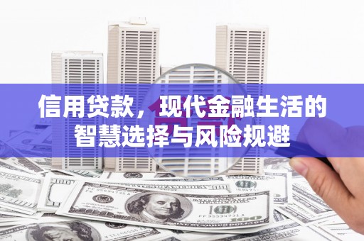营口信用贷款，现代金融生活的智慧选择与风险规避