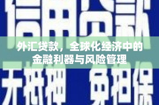 营口外汇贷款，全球化经济中的金融利器与风险管理