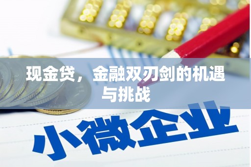 营口现金贷，金融双刃剑的机遇与挑战