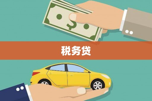 营口税务贷