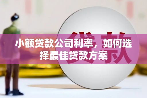 营口小额贷款公司利率，如何选择最佳贷款方案