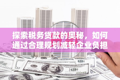营口探索税务贷款的奥秘，如何通过合理规划减轻企业负担