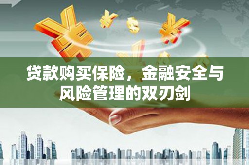 营口贷款购买保险，金融安全与风险管理的双刃剑