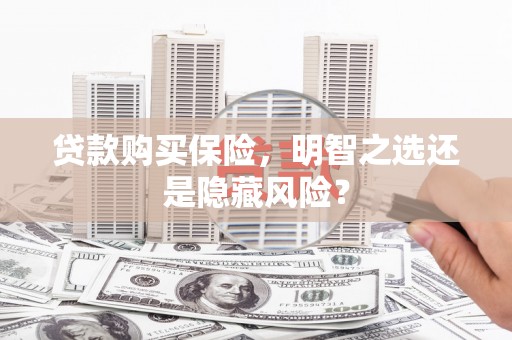 营口贷款购买保险，明智之选还是隐藏风险？