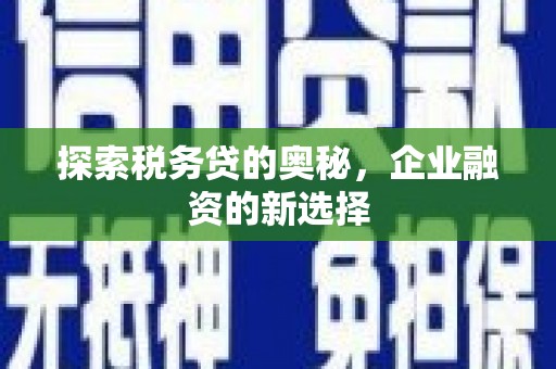 营口探索税务贷的奥秘，企业融资的新选择