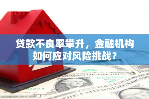 营口贷款不良率攀升，金融机构如何应对风险挑战？