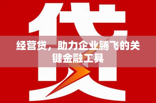 营口经营贷，助力企业腾飞的关键金融工具
