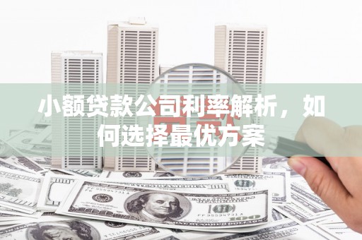 营口小额贷款公司利率解析，如何选择最优方案