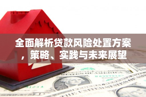 营口全面解析贷款风险处置方案，策略、实践与未来展望