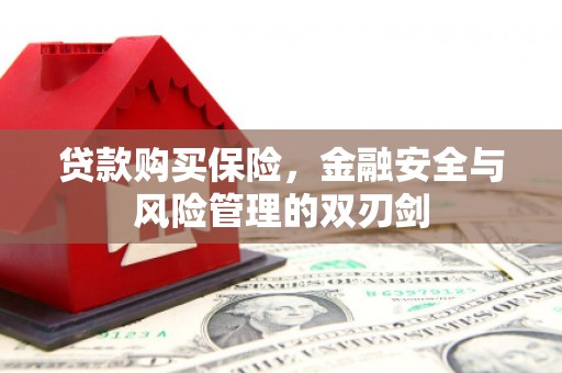 营口贷款购买保险，金融安全与风险管理的双刃剑