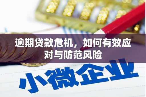 营口逾期贷款危机，如何有效应对与防范风险