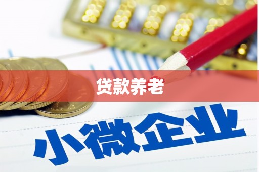 营口贷款养老