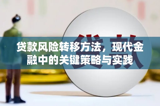 营口贷款风险转移方法，现代金融中的关键策略与实践