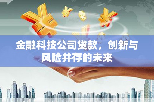 营口金融科技公司贷款，创新与风险并存的未来