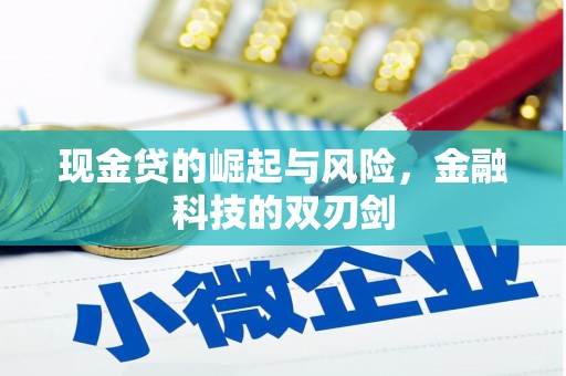 营口现金贷的崛起与风险，金融科技的双刃剑